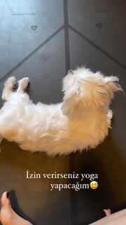 Mine Tugay feet photo thumbnail