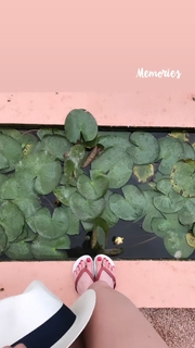 Mine Tugay feet photo thumbnail