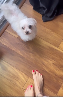 Mine Tugay feet photo thumbnail
