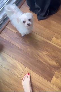 Mine Tugay feet photo thumbnail