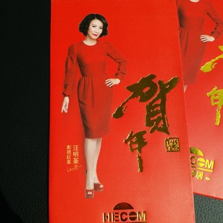 Ming-Chuen Wang feet photo 1