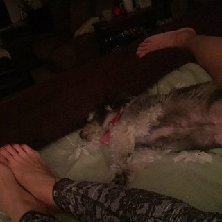 Ming-Na Wen feet photo thumbnail
