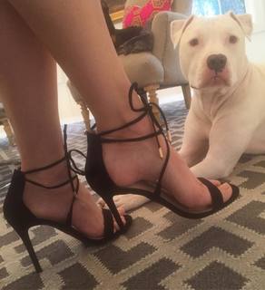 Mini Anden feet photo thumbnail