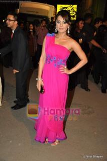 Minissha Lamba feet photo thumbnail