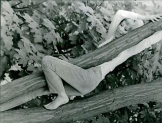 Mireille Darc feet photo 1