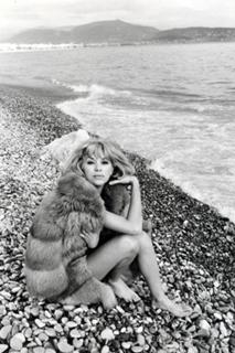 Mireille Darc feet photo 16