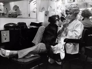 Mireille Darc feet photo 7