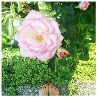 Miriam Giovanelli feet photo 4