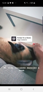 Miriam Saavedra feet photo 14