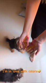 Mirna Gamil feet photo thumbnail