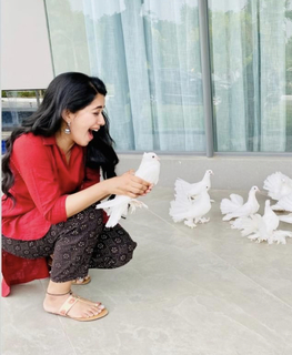 Mirnalini Ravi feet photo 5