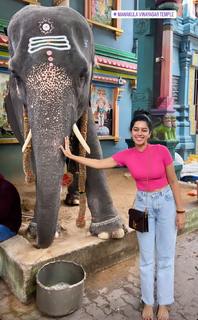 Mirnalini Ravi feet photo 10