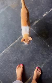 Mirnalini Ravi feet photo 5