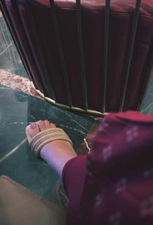 Mirnalini Ravi feet photo 19