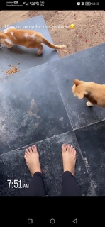 Mirnalini Ravi feet photo 16
