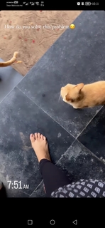 Mirnalini Ravi feet photo 15