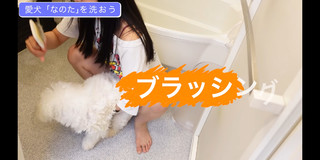 Miru Shiroma feet photo 10