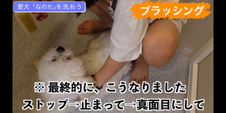 Miru Shiroma feet photo 8