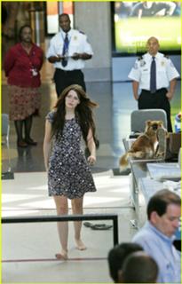 Mischa Barton feet photo thumbnail