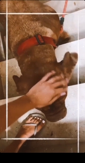 Mishel Gerzig feet photo thumbnail