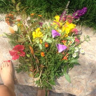 Mishel Prada feet photo 16