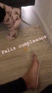 Mishel Prada feet photo 8