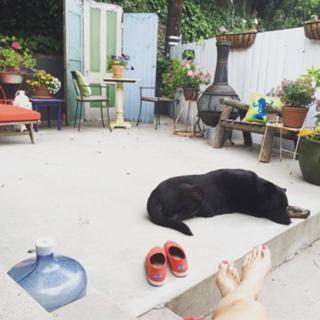 Missi Pyle feet photo thumbnail