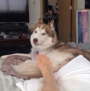 Mitski feet photo 1