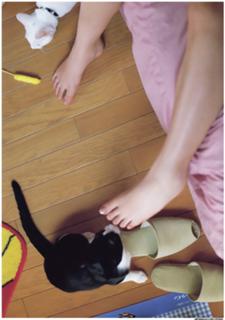 Miu Nakamura feet photo 13