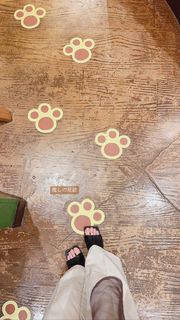 Mizuki Yamashita feet photo 3