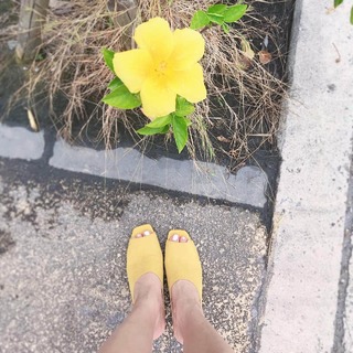 Moemi Katayama feet photo 4