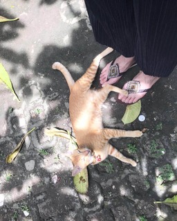 Moemi Katayama feet photo 14