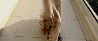 Mollie King feet photo 4