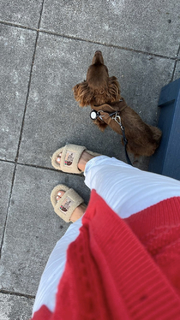 Molly Baz feet photo 2