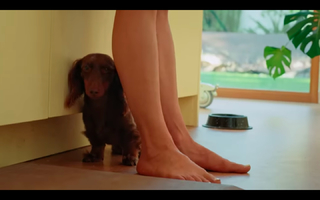 Molly Baz feet photo 8