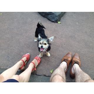 Molly Bernard feet photo 3