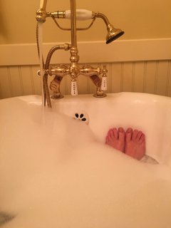 Molly C. Quinn feet photo thumbnail