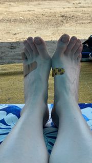 Molly C. Quinn feet photo thumbnail