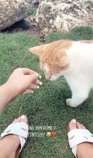 Molly-Mae Hague feet photo thumbnail