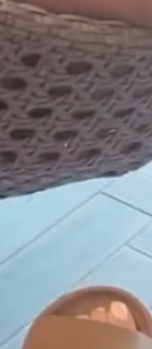 Molly-Mae Hague feet photo thumbnail