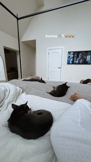 Molly-Mae Hague feet photo thumbnail