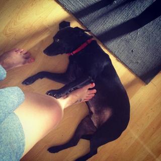 Molly Templeton feet photo 12