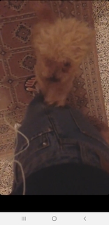 Momina Mustehsan feet photo 3