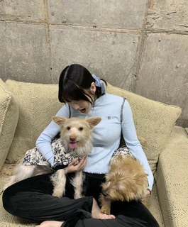 Momo Hirai feet photo thumbnail