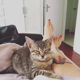 Mon Laferte feet photo thumbnail