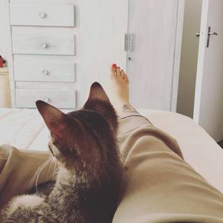 Mon Laferte feet photo thumbnail