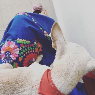 Mon Laferte feet photo thumbnail