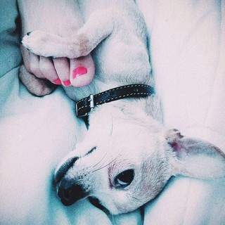 Mon Laferte feet photo thumbnail