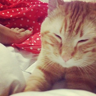 Mon Laferte feet photo thumbnail