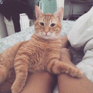 Mon Laferte feet photo thumbnail